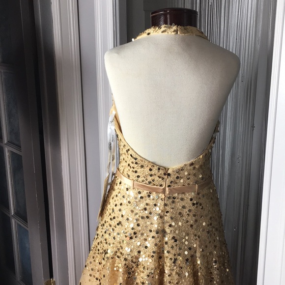 Prom Gown / New Year’s Gown - Picture 3 of 4